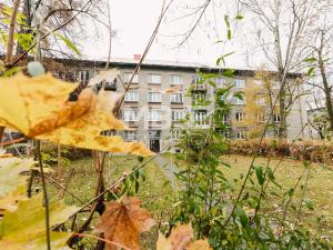 Pronájem bytu 2+1, Karviná - Nové Město, Cihelní, 60 m2