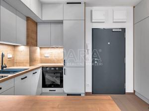 Pronájem bytu 1+kk, Praha - Holešovice, Tusarova, 43 m2