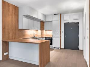 Pronájem bytu 1+kk, Praha - Holešovice, Tusarova, 43 m2