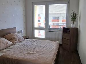 Prodej bytu 3+1, Ostrava, Zelená, 78 m2