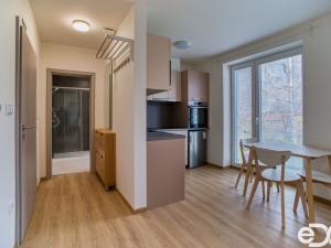 Pronájem bytu 2+kk, Boskovice, Hálkova, 37 m2