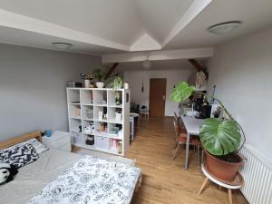 Pronájem bytu 1+kk, Olomouc, Denisova, 40 m2