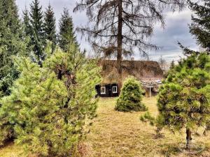 Prodej chalupy, Krásná Lípa - Sněžná, 150 m2
