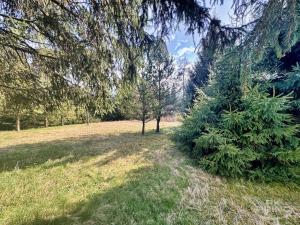 Prodej chalupy, Krásná Lípa - Sněžná, 150 m2