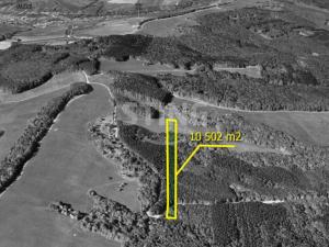 Prodej lesa, Suchá Loz, 10502 m2