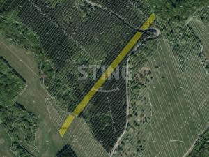 Prodej lesa, Suchá Loz, 10502 m2