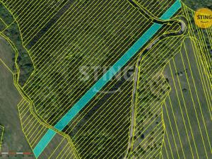 Prodej lesa, Suchá Loz, 10502 m2