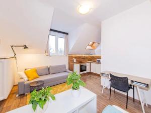 Pronájem bytu 1+kk, Olomouc, Krapkova, 25 m2