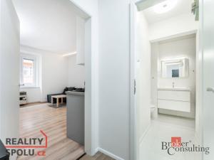 Pronájem bytu 2+kk, Praha - Holešovice, Přístavní, 48 m2