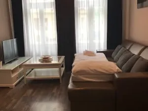 Prodej apartmánu, Karlovy Vary, Moravská, 270 m2
