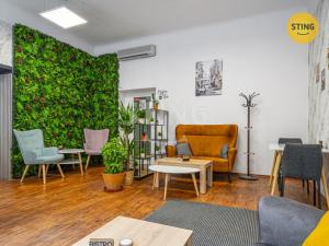 Pronájem obchodního prostoru, České Budějovice, Husova tř., 148 m2