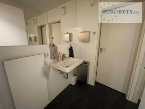 Prodej bytu 1+kk, Praha - Vysočany, Jandova, 36 m2