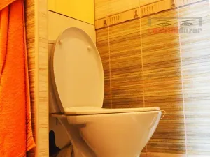Pronájem bytu 1+1, Brno, Kuršova, 41 m2