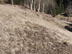 Prodej pozemku, Králíky, 844 m2