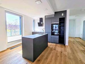 Pronájem bytu 4+kk, Praha - Smíchov, U Dívčích hradů, 119 m2