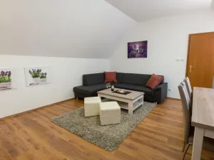 Prodej ubytování, Dolní Moravice, 170 m2
