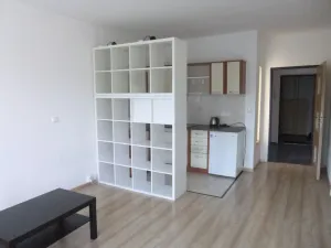 Pronájem bytu 1+kk, Děčín - Děčín III-Staré Město, Žerotínova, 22 m2
