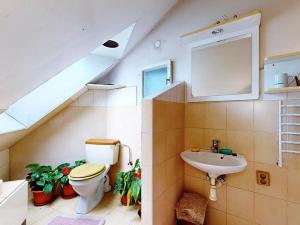 Prodej rodinného domu, Velká Losenice, 223 m2