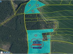 Prodej lesa, Bítouchov, 100105 m2