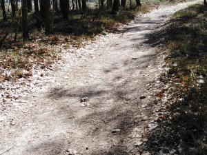 Prodej lesa, Bítouchov, 100105 m2