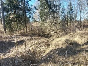 Prodej chalupy, Toužim, 120 m2