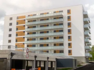 Prodej bytu 2+kk, Teplice, Novoveská, 70 m2