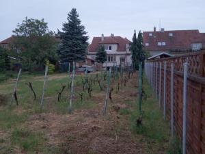 Prodej rodinného domu, Lanžhot, Na peci, 130 m2