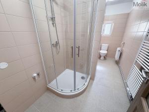 Pronájem bytu 1+1, Ústí nad Labem - Ústí nad Labem-centrum, Horova, 51 m2