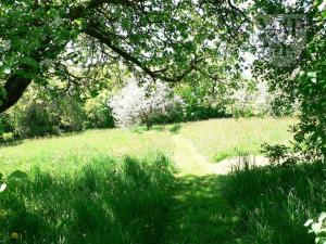 Prodej chalupy, Sedlice, Husova, 160 m2