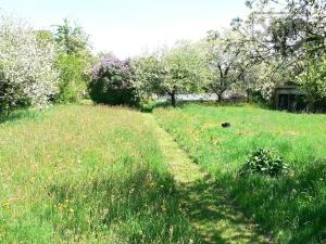 Prodej chalupy, Sedlice, Husova, 160 m2