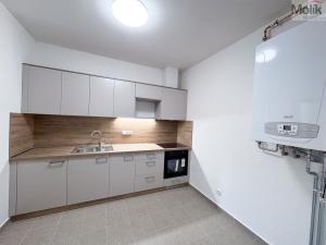 Pronájem bytu 2+1, Ústí nad Labem - Ústí nad Labem-centrum, Horova, 70 m2