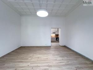 Pronájem bytu 2+1, Ústí nad Labem - Ústí nad Labem-centrum, Horova, 70 m2