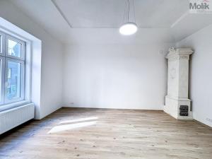 Pronájem bytu 2+1, Ústí nad Labem - Ústí nad Labem-centrum, Horova, 70 m2