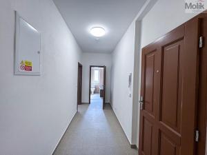 Pronájem bytu 2+1, Ústí nad Labem - Ústí nad Labem-centrum, Horova, 70 m2