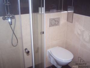 Pronájem bytu 1+kk, Praha - Řepy, Čistovická, 23 m2