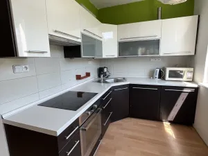 Pronájem bytu 3+1, Olomouc - Nová Ulice, Kmochova, 75 m2