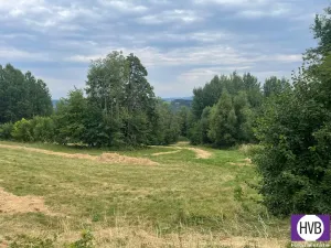 Pronájem pozemku pro bydlení, Velké Hamry, 4241 m2