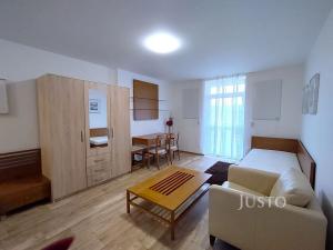 Pronájem bytu 1+kk, Čížová, 23 m2