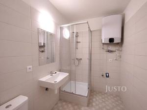 Pronájem bytu 1+kk, Čížová, 23 m2