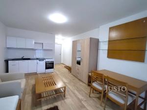 Pronájem bytu 1+kk, Čížová, 23 m2