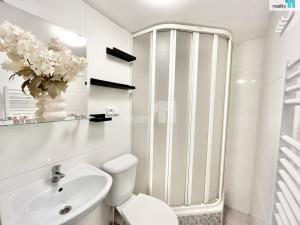 Prodej bytu 1+kk, Praha - Ruzyně, Drnovská, 31 m2