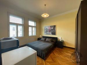 Pronájem bytu 2+kk, Praha - Vinohrady, Řipská, 51 m2
