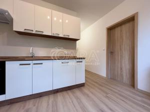 Pronájem bytu 1+1, Brno, Černého, 30 m2