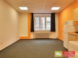 Pronájem bytu 1+kk, Praha - Žižkov, Biskupcova, 31 m2