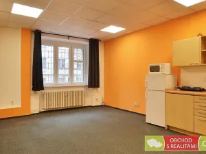 Pronájem bytu 1+kk, Praha - Žižkov, Biskupcova, 31 m2