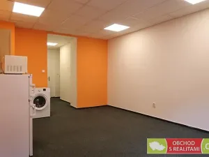 Pronájem bytu 1+kk, Praha - Žižkov, Biskupcova, 31 m2