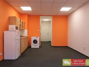 Pronájem bytu 1+kk, Praha - Žižkov, Biskupcova, 31 m2