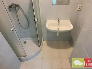 Pronájem bytu 1+kk, Praha - Žižkov, Biskupcova, 31 m2