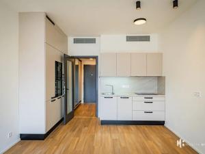 Pronájem bytu 1+kk, Praha - Žižkov, Tetauerova, 31 m2