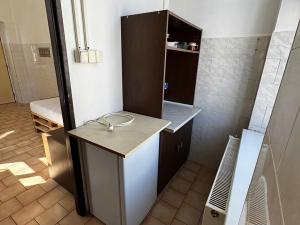 Pronájem bytu 1+kk, Liberec - Liberec I-Staré Město, Ruprechtická, 16 m2